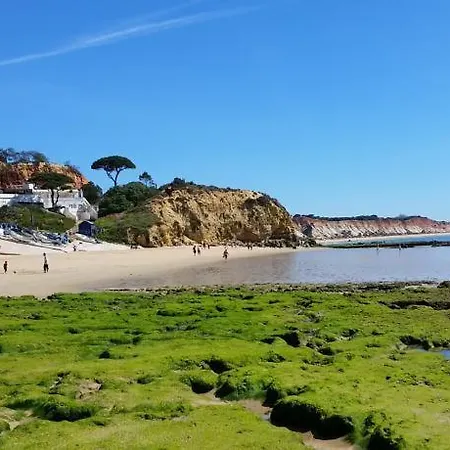 Διαμέρισμα Vista Ondas 104